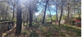 Photo numero 48083725 du bien UBI479955905